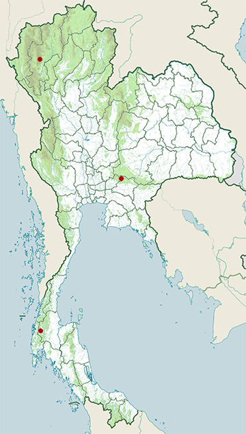 Distribution map of Little Indochinese field rat, Rattus sakeratensis in Thailand